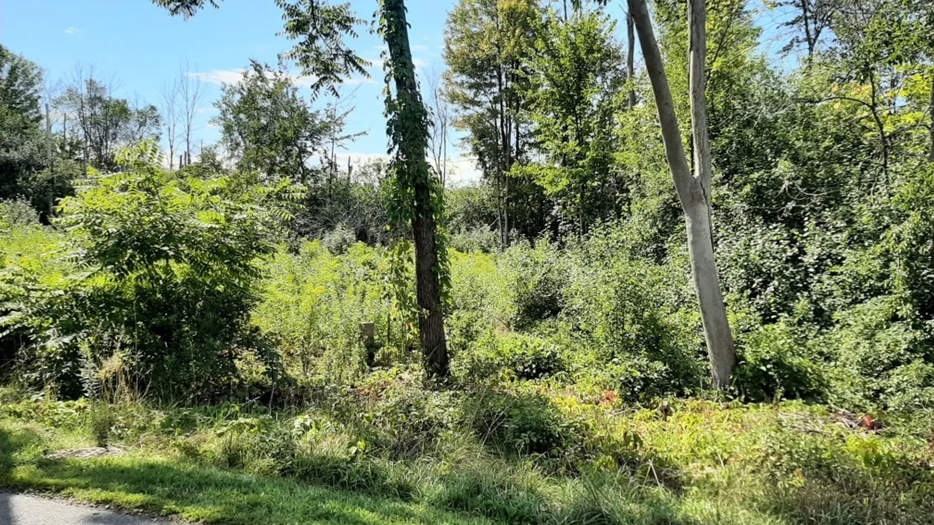 Property at 5962 Rosewood Terrace, Hamburg, NY 14075 2