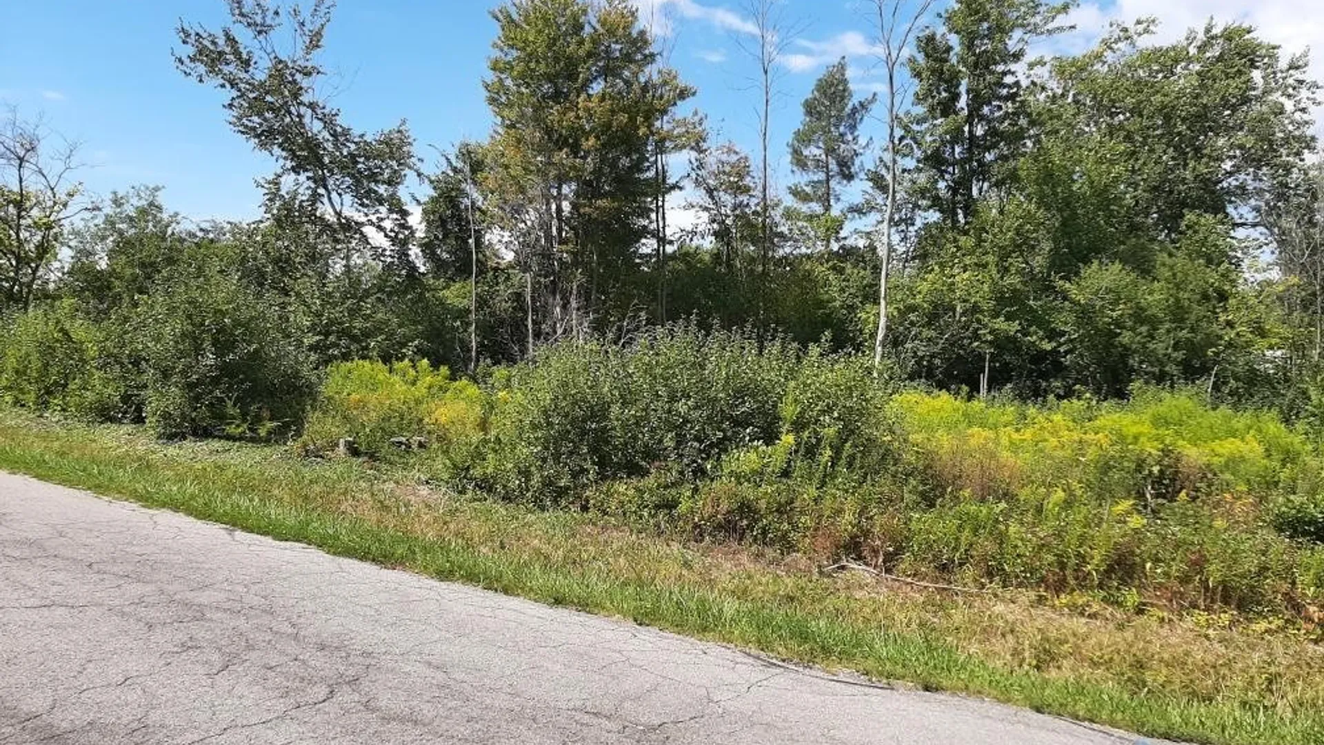 Property at 5962 Rosewood Terrace, Hamburg, NY 14075 4