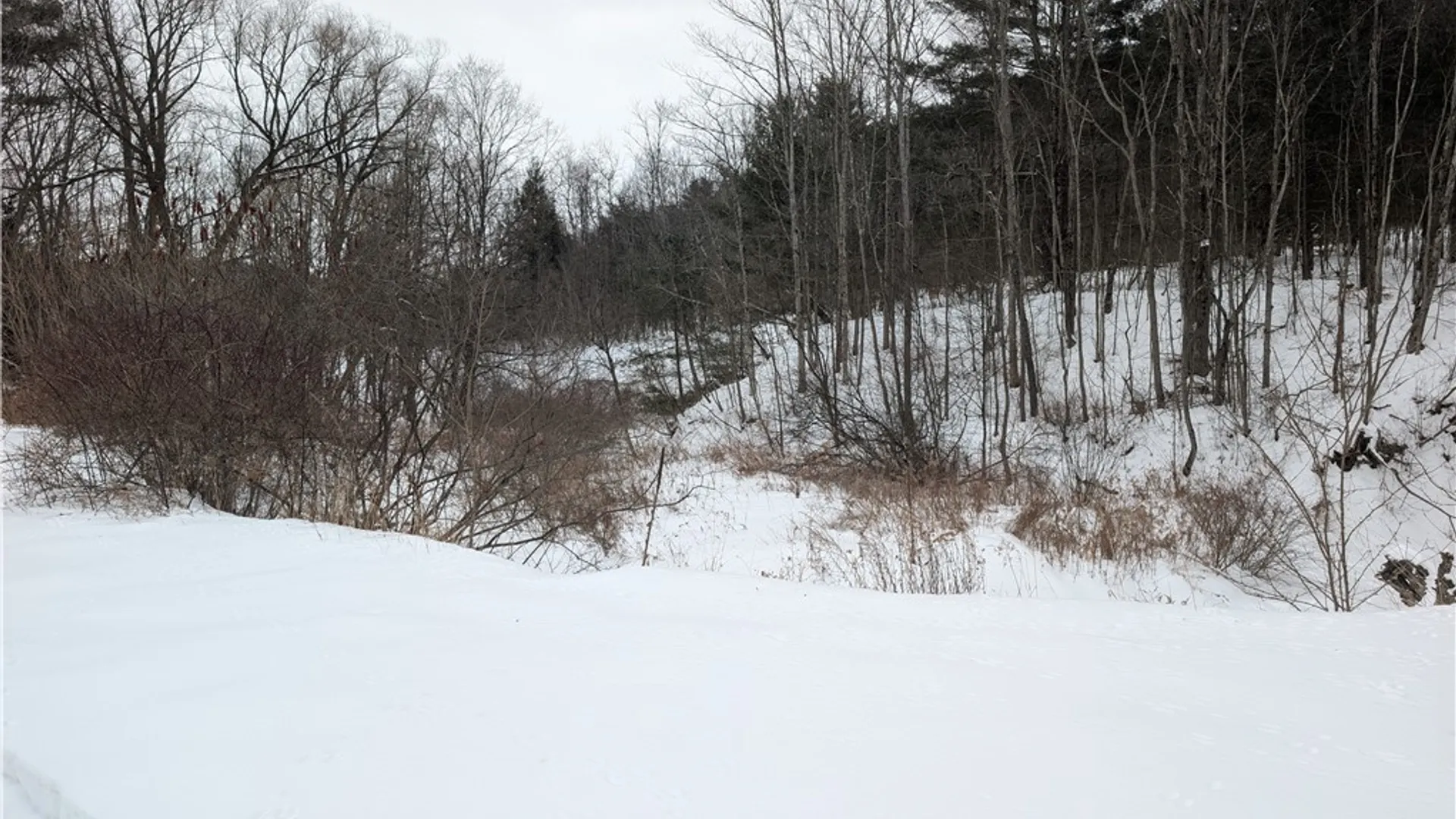 Property at 1185 Vankirk Road, Newfield, NY 14867 28