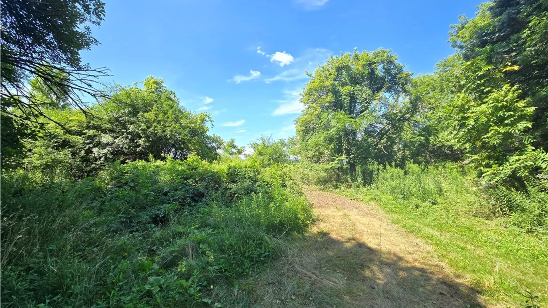 Property at 5018 State Route 96a, Varick, NY 14541 13