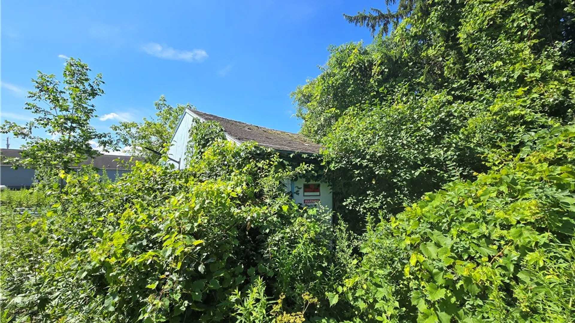 Property at 5018 State Route 96a, Varick, NY 14541 15