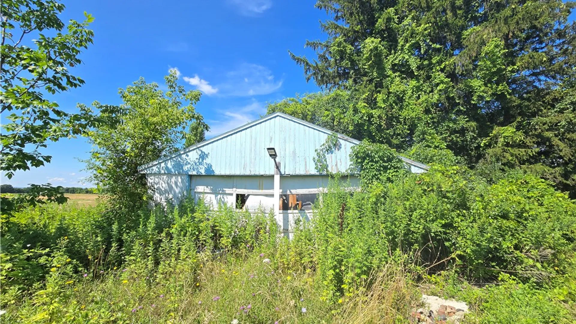 Property at 5018 State Route 96a, Varick, NY 14541 17