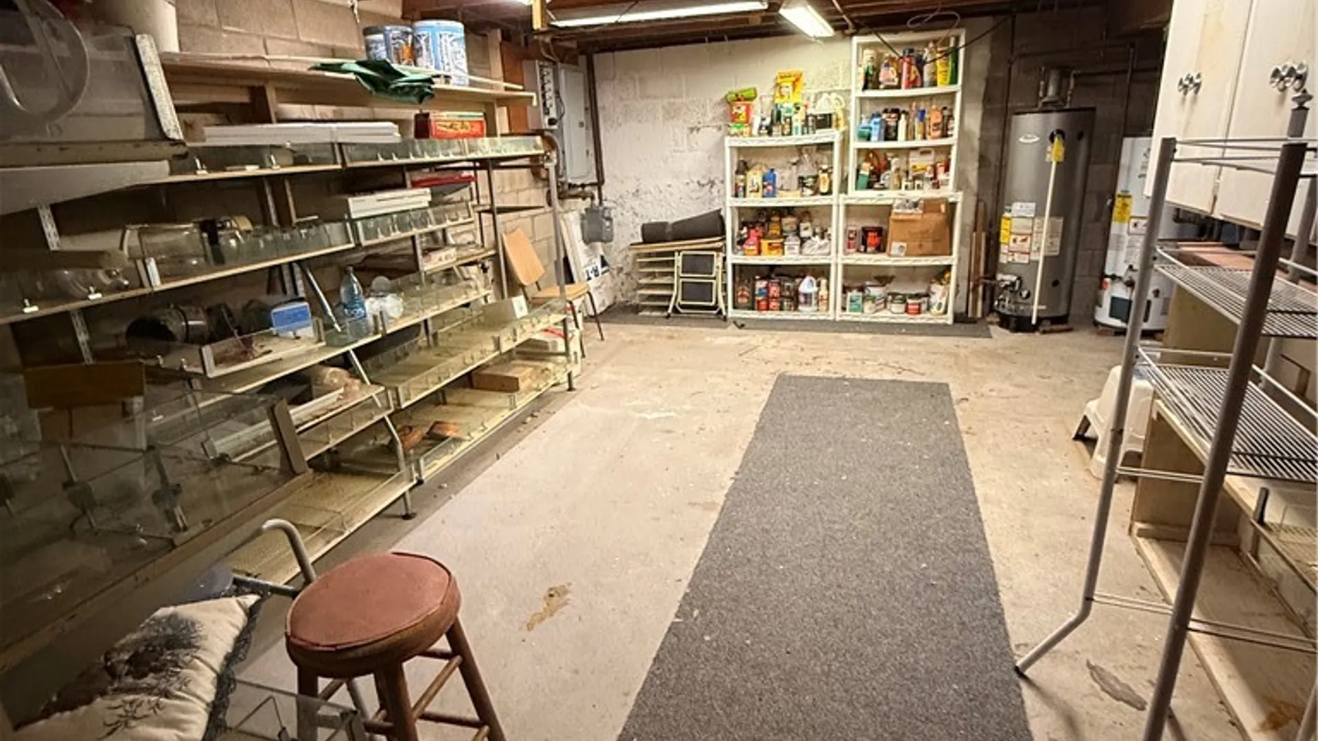 Property at 8244 Lake Street Extension, Sodus, NY 14555 19