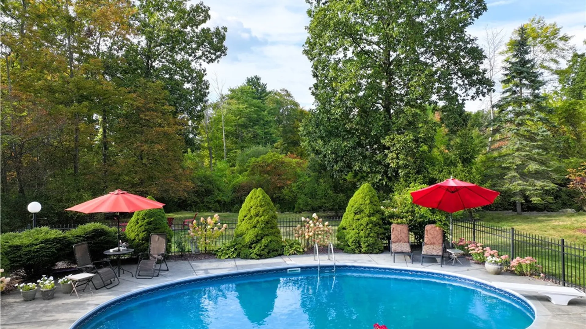 Property at 217 Buttermilk Lane, Danby, NY 14850 32