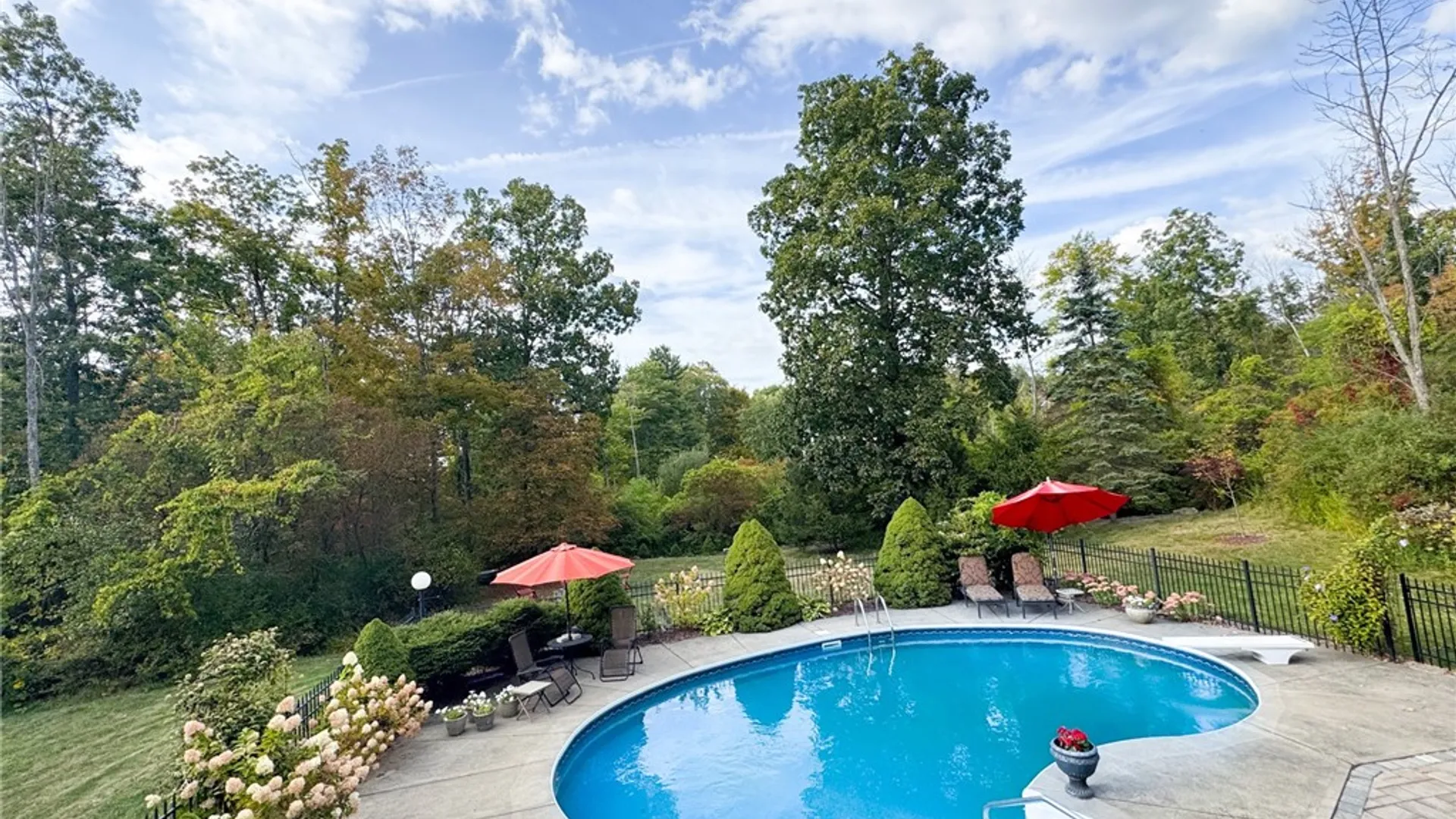 Property at 217 Buttermilk Lane, Danby, NY 14850 40