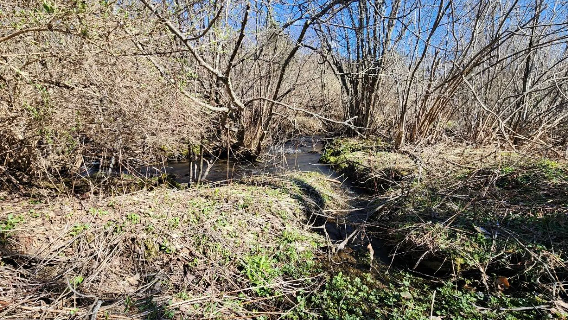 Property at L1 Lang Road, Summit, NY 12175 12