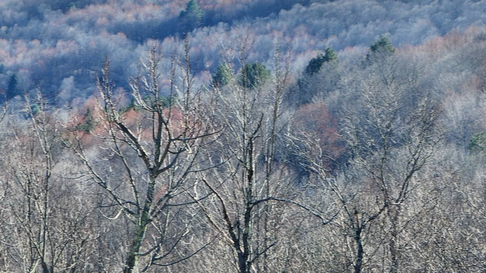 Property at L1 Lang Road, Summit, NY 12175 2