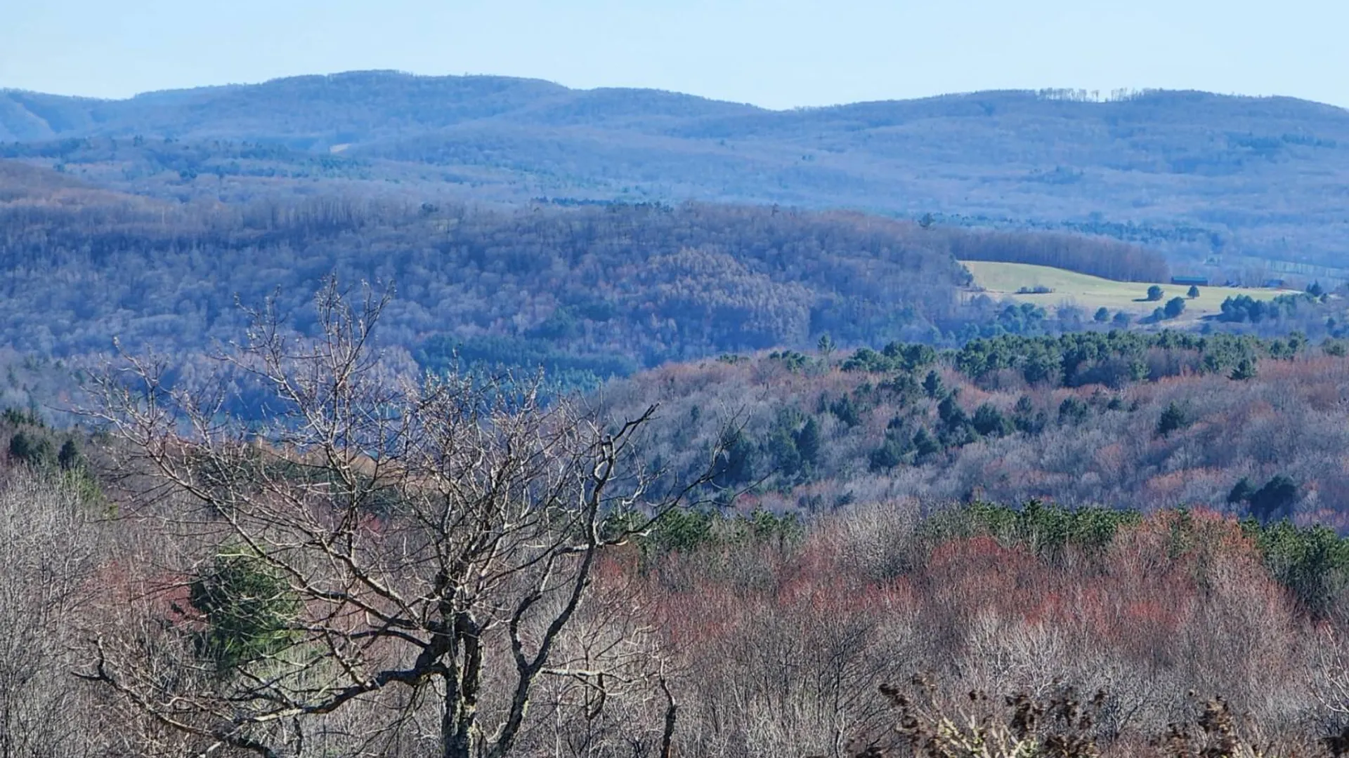 Property at L1 Lang Road, Summit, NY 12175 3