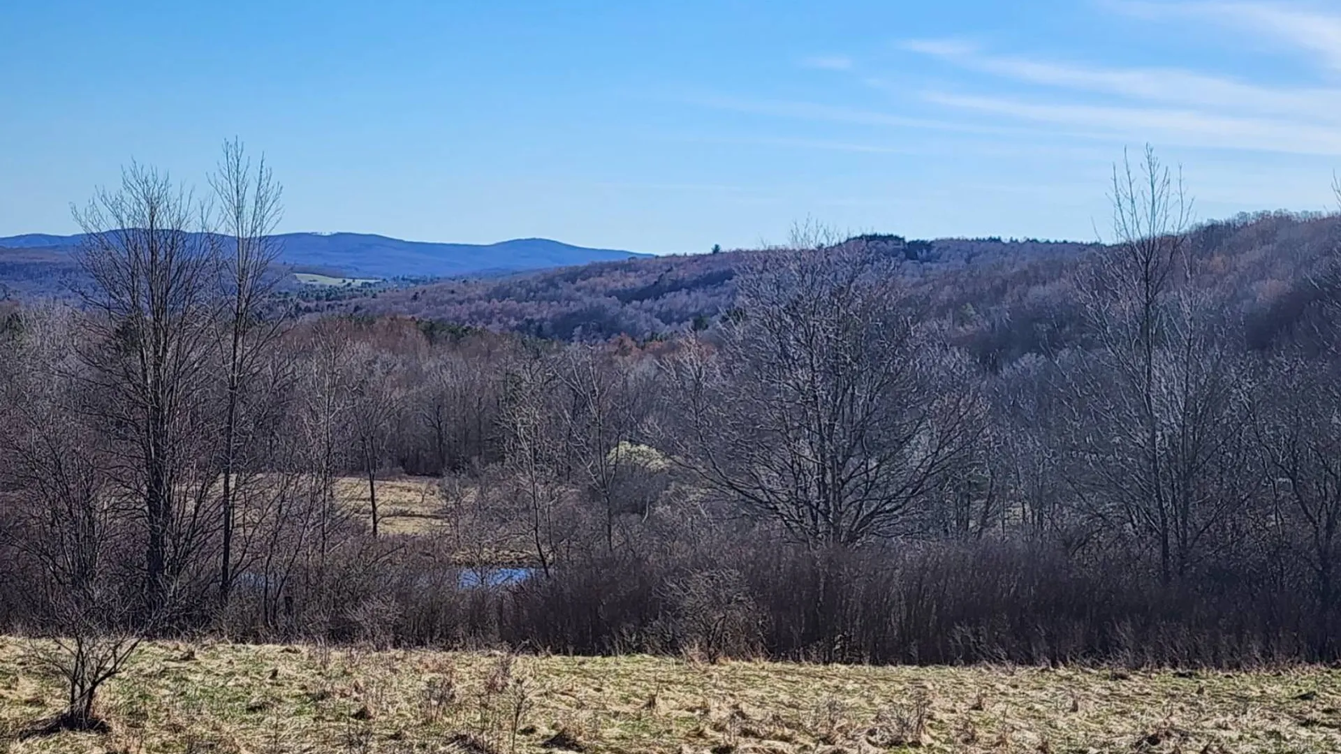Property at L1 Lang Road, Summit, NY 12175 4