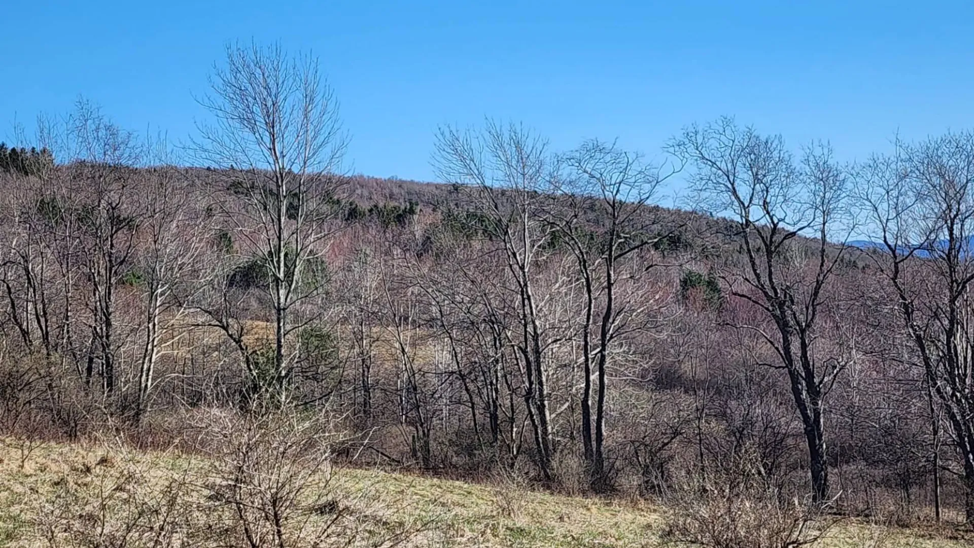 Property at L1 Lang Road, Summit, NY 12175 5