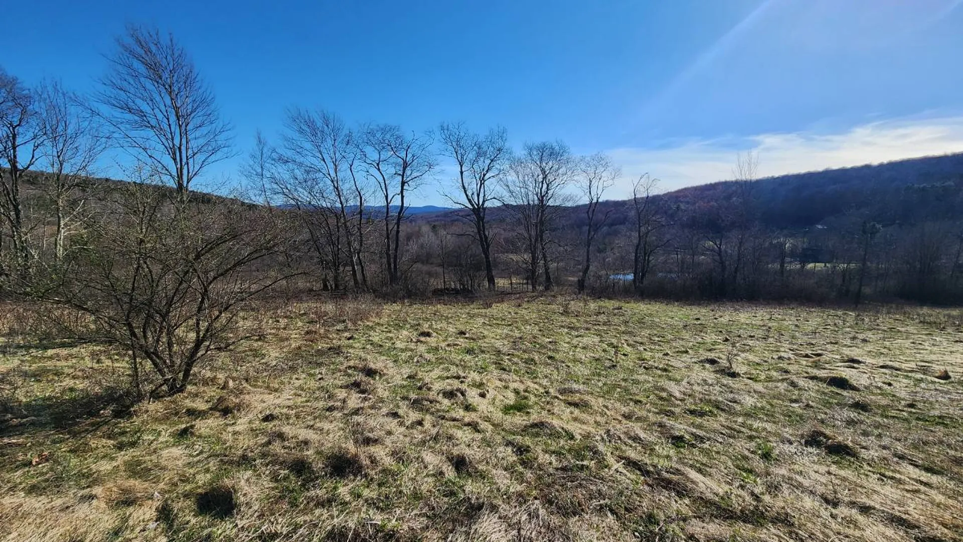 Property at L1 Lang Road, Summit, NY 12175 7