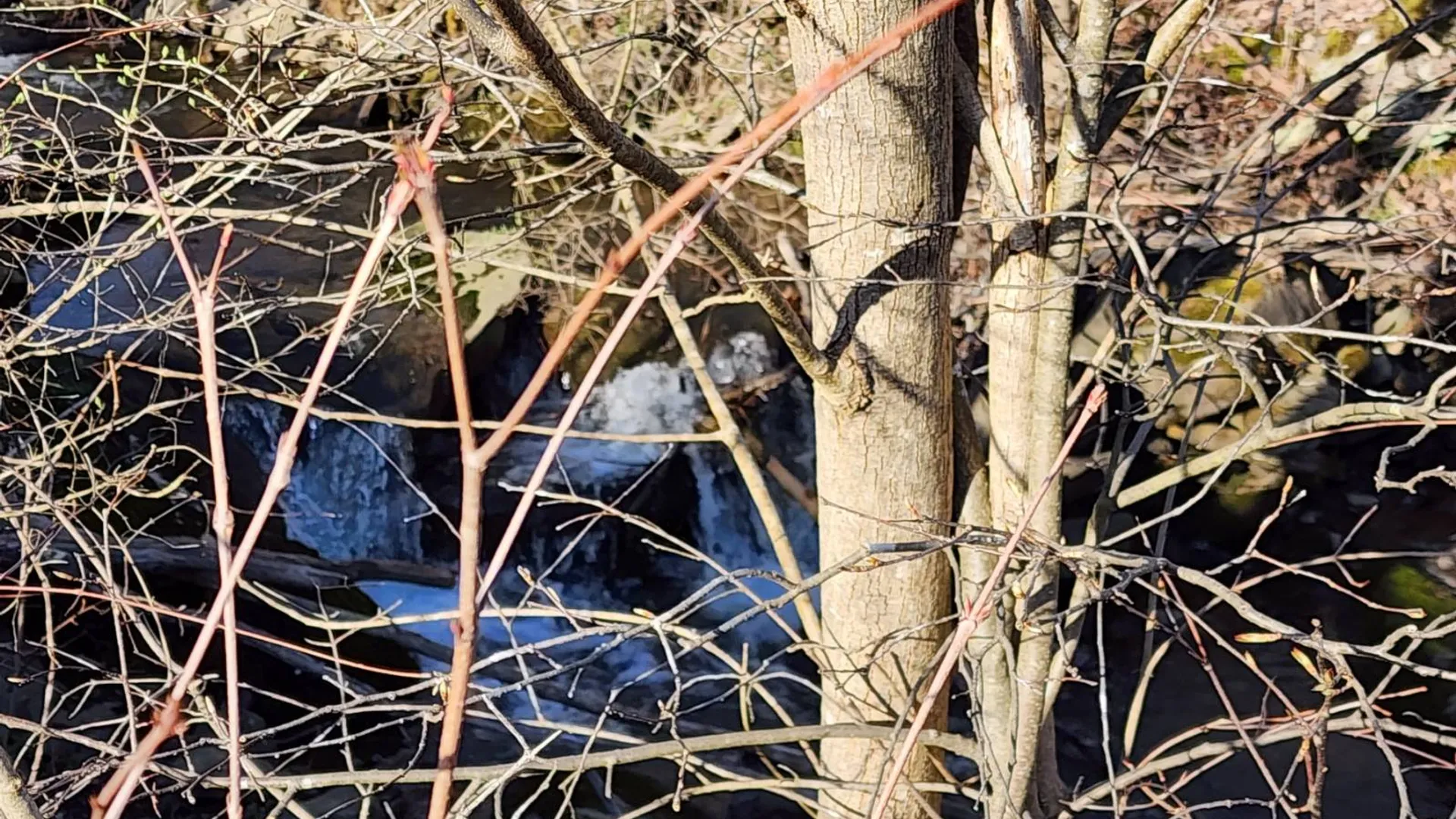 Property at L2 Lang Road, Summit, NY 12175 15