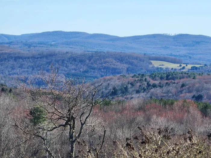 Property at L2 Lang Road, Summit, NY 12175