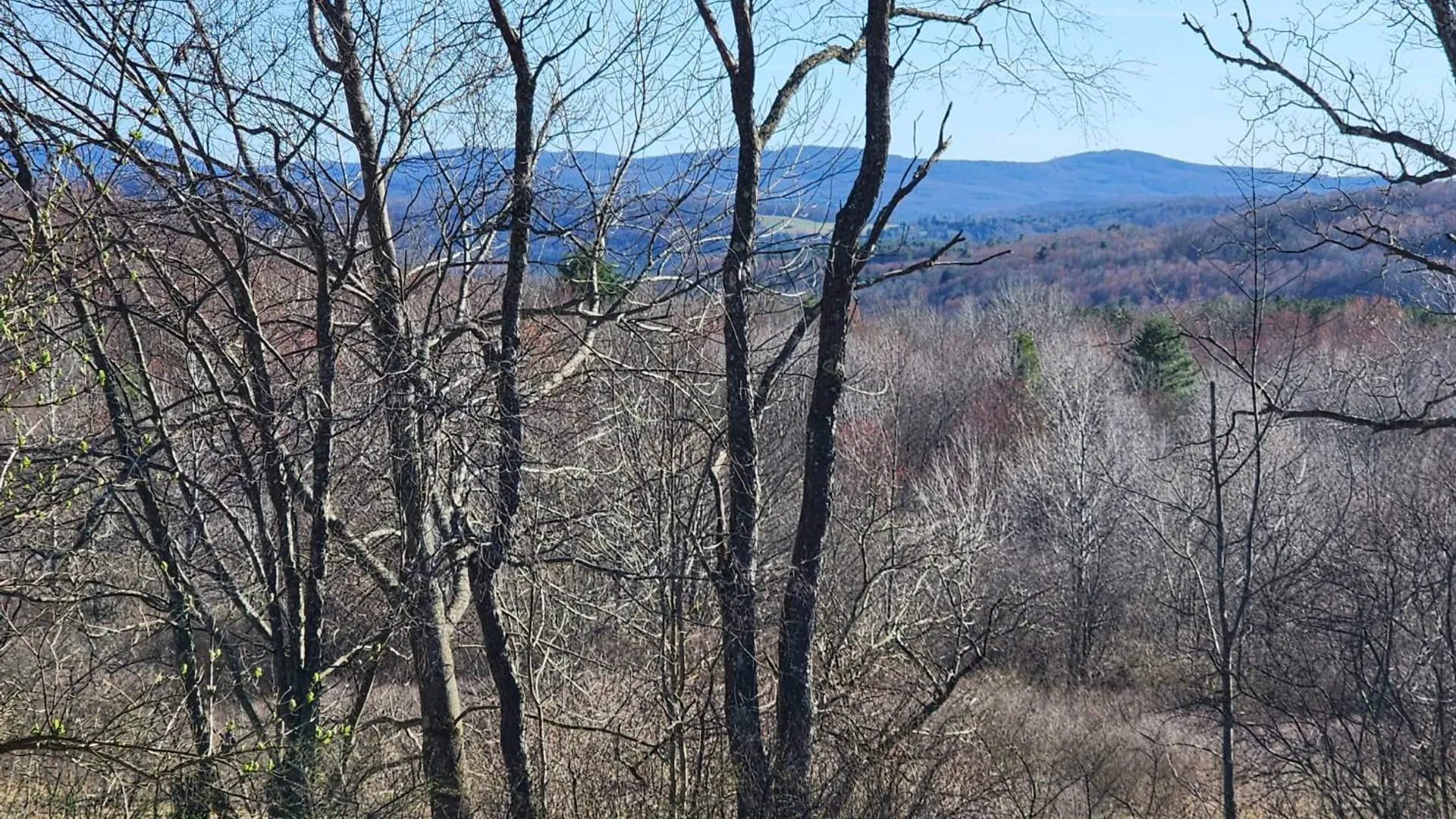 Property at L2 Lang Road, Summit, NY 12175 3