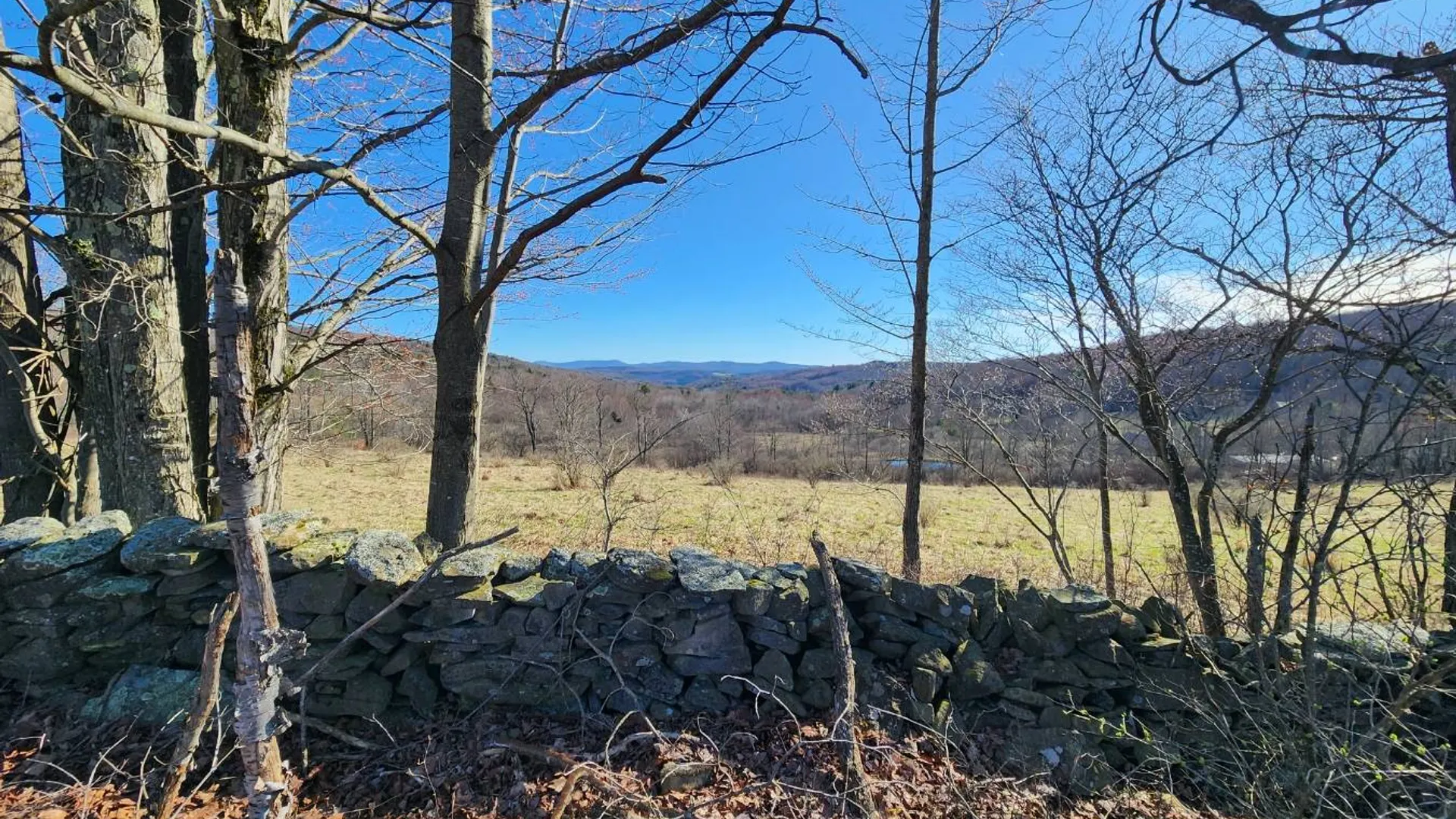 Property at L2 Lang Road, Summit, NY 12175 4