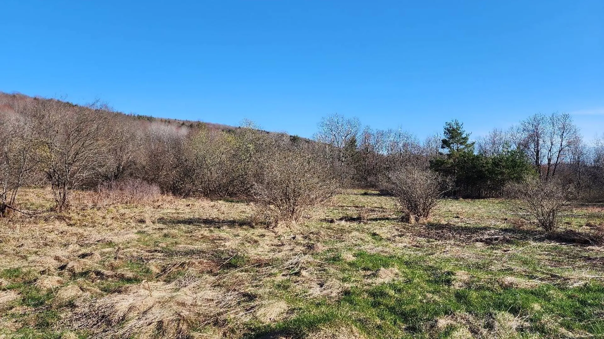 Property at L2 Lang Road, Summit, NY 12175 9