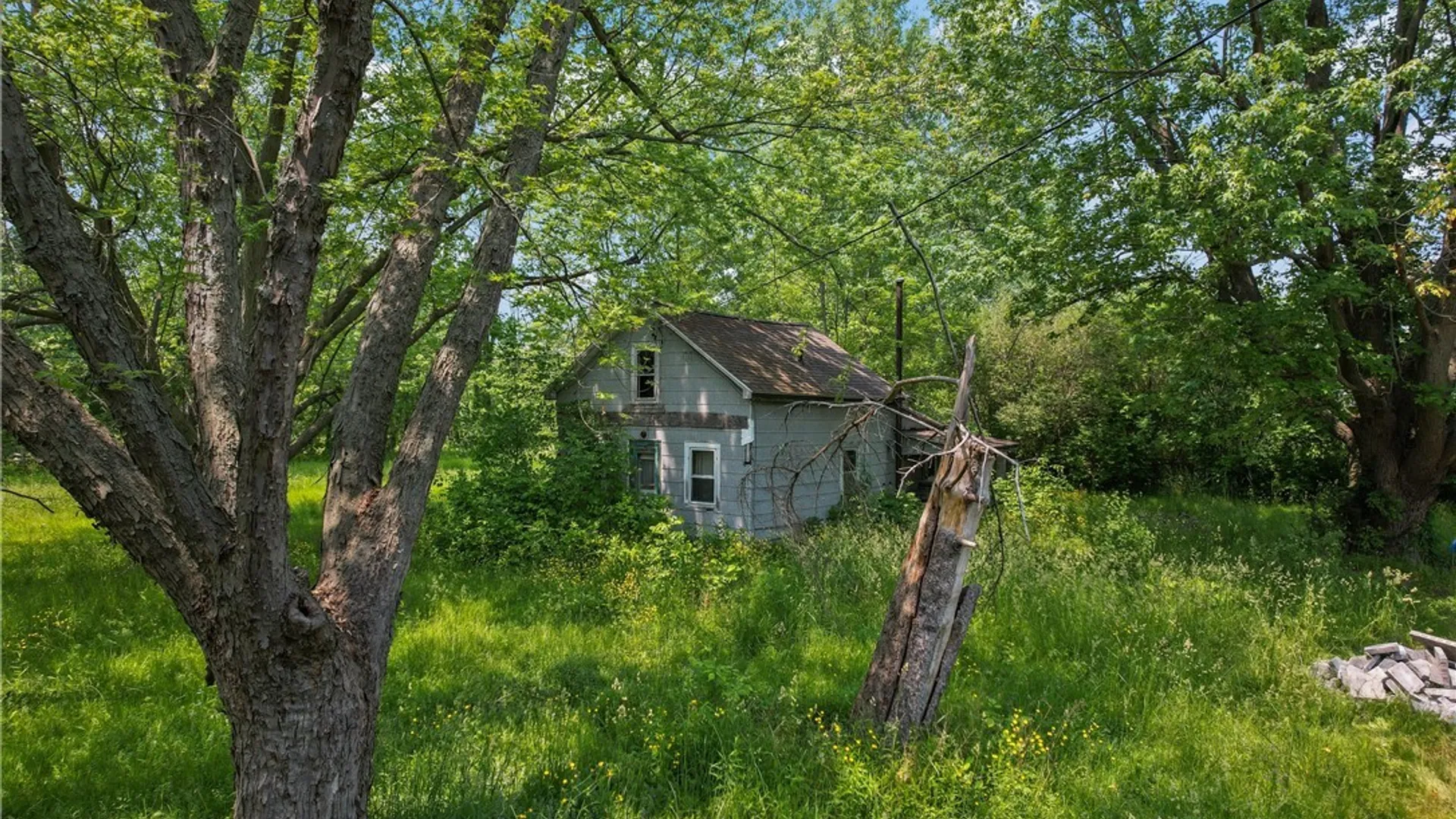 Property at 8660 Wolcott Road, Clarence, NY 14032 8