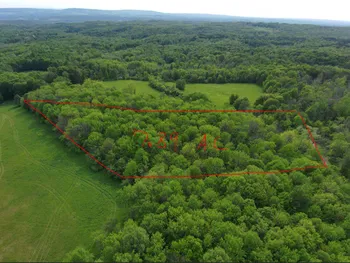 Property at 0 Lynch Rd, Newport, NY 13416