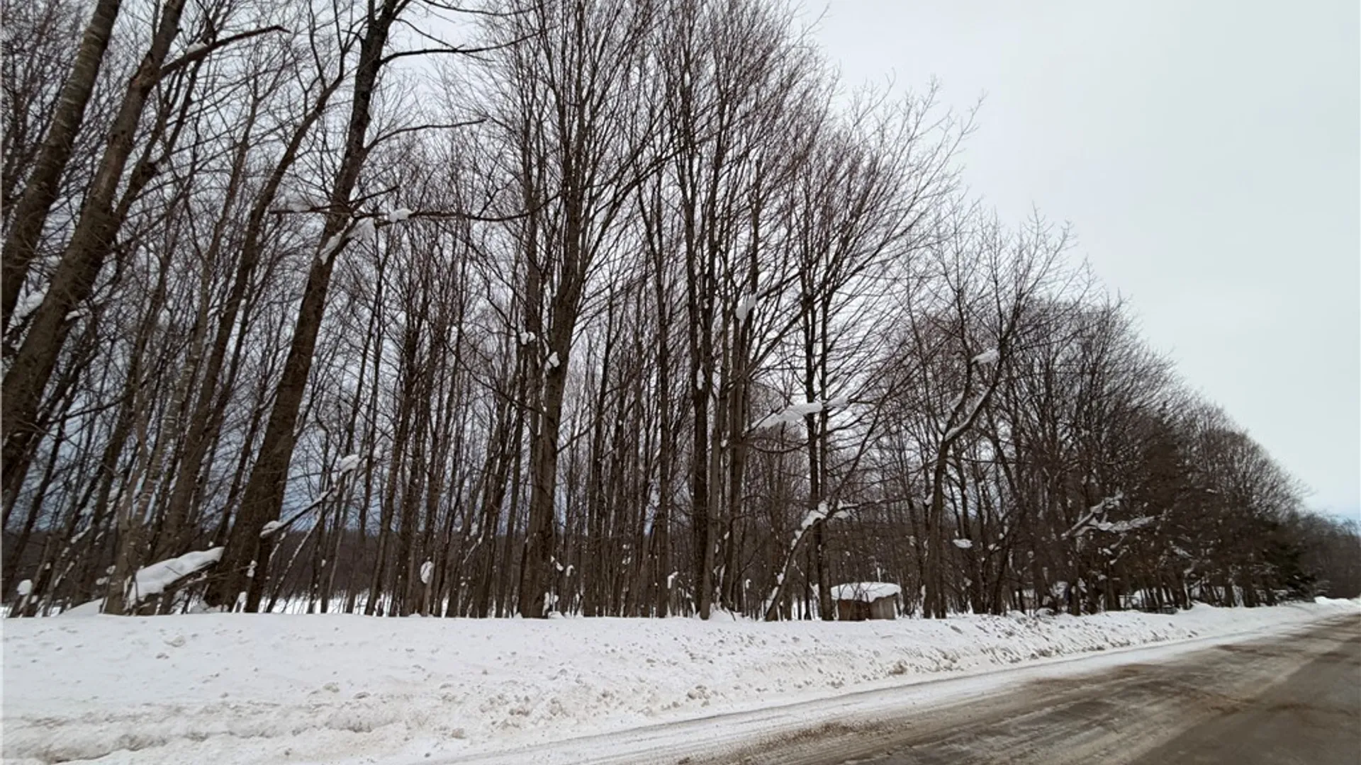 Property at 35601 Line School Road, Champion, NY 13619 3
