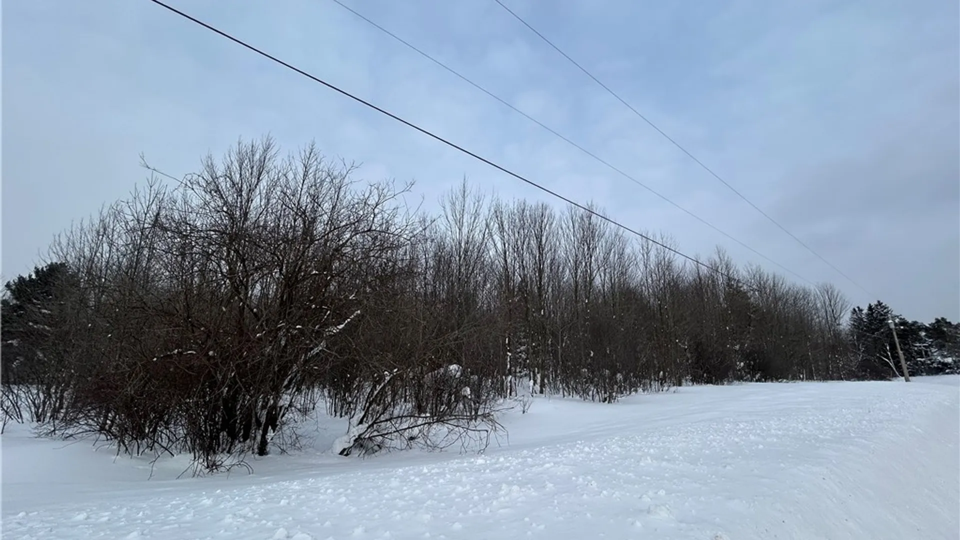 Property at 0 Co Rt 15, Boylston, NY 13083 2