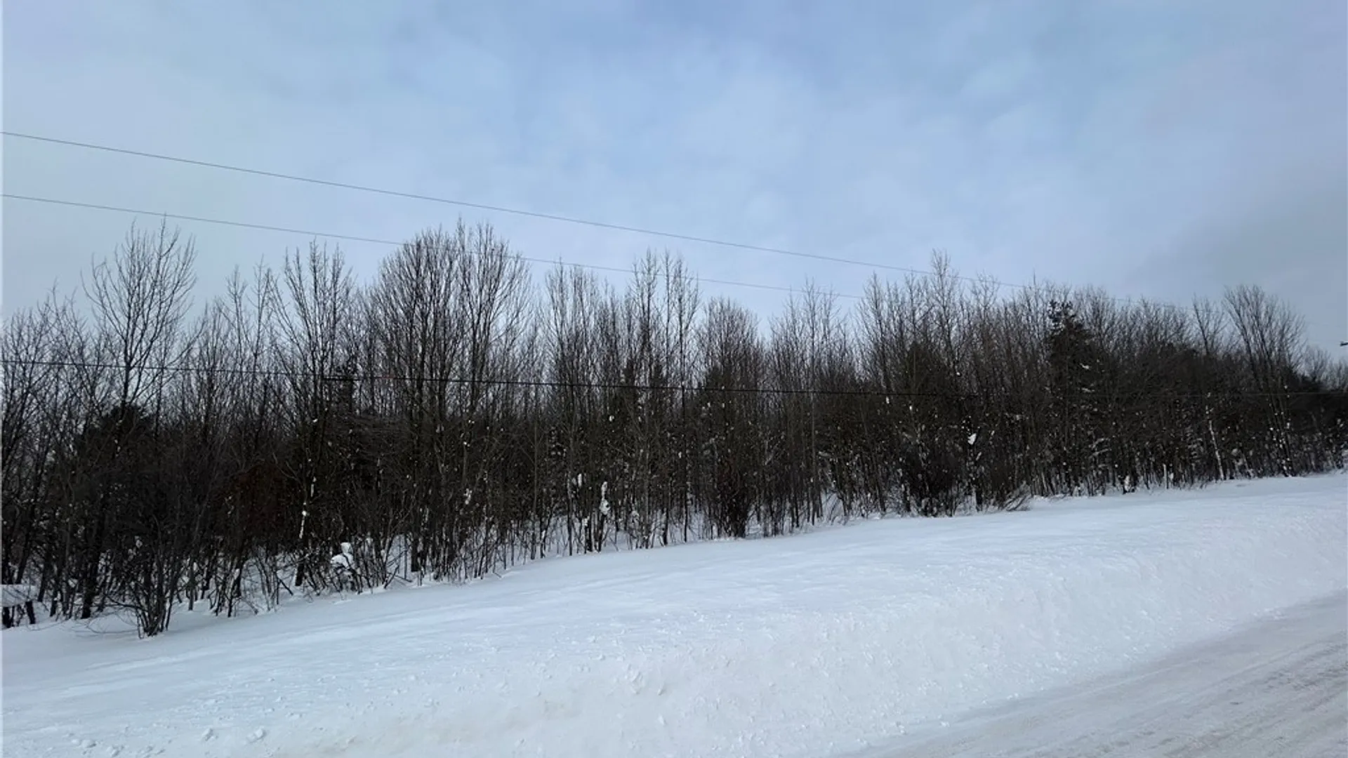 Property at 0 Co Rt 15, Boylston, NY 13083 7