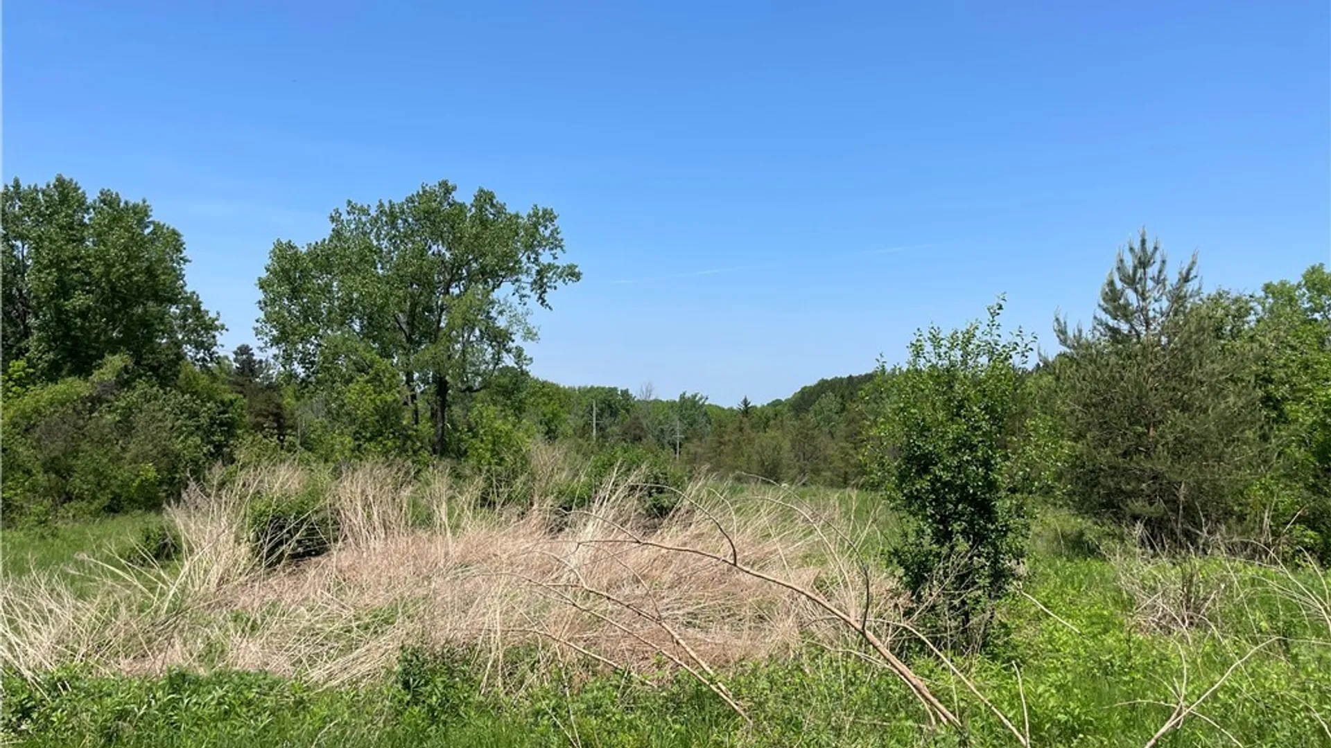 Property at 1650 & 1630 Southwestern Boulevard, West Seneca, NY 14224 10