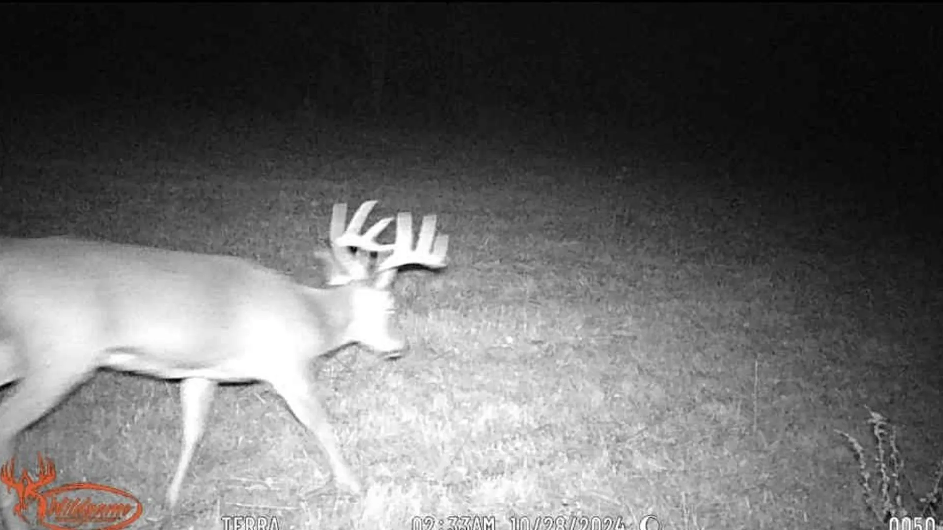 Property at Windfall Run Road, Tompkins, NY 13839 9