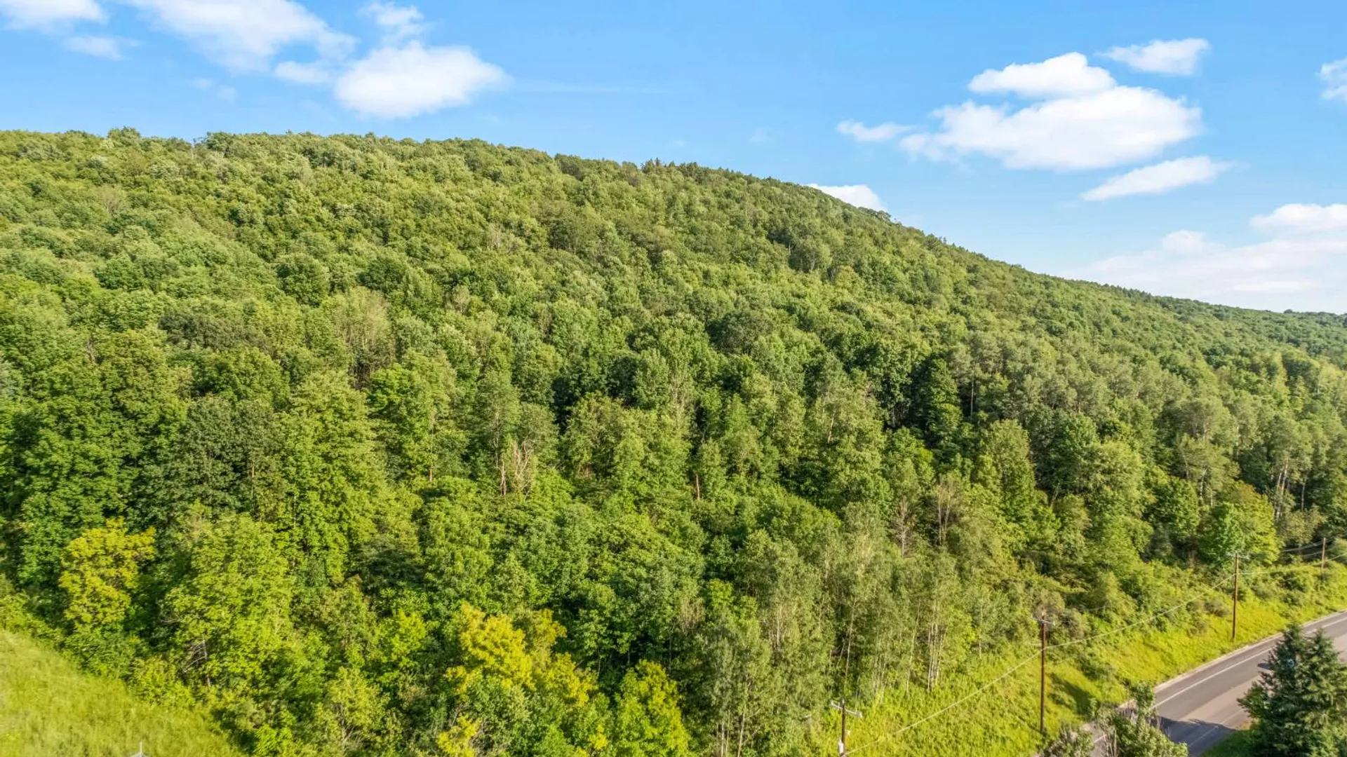 Property at L31.1 County Rd 32, Norwich, NY 13815 2