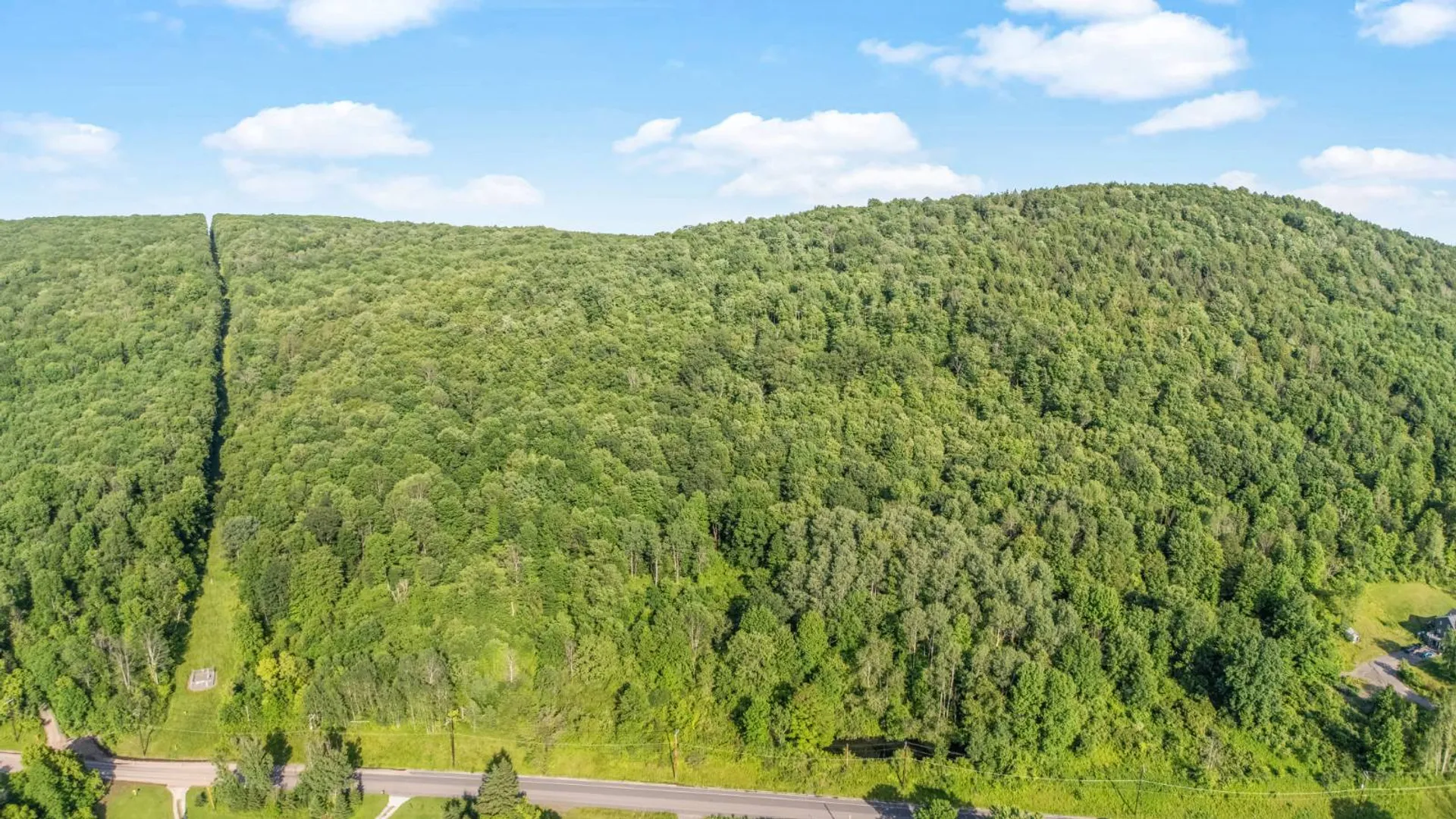 Property at L31.1 County Rd 32, Norwich, NY 13815 4