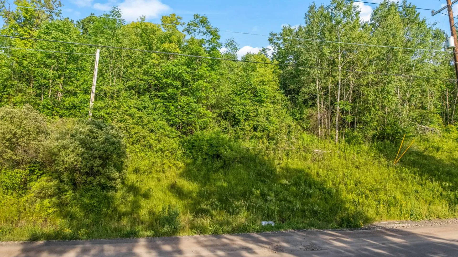 Property at L31.1 County Rd 32, Norwich, NY 13815 8