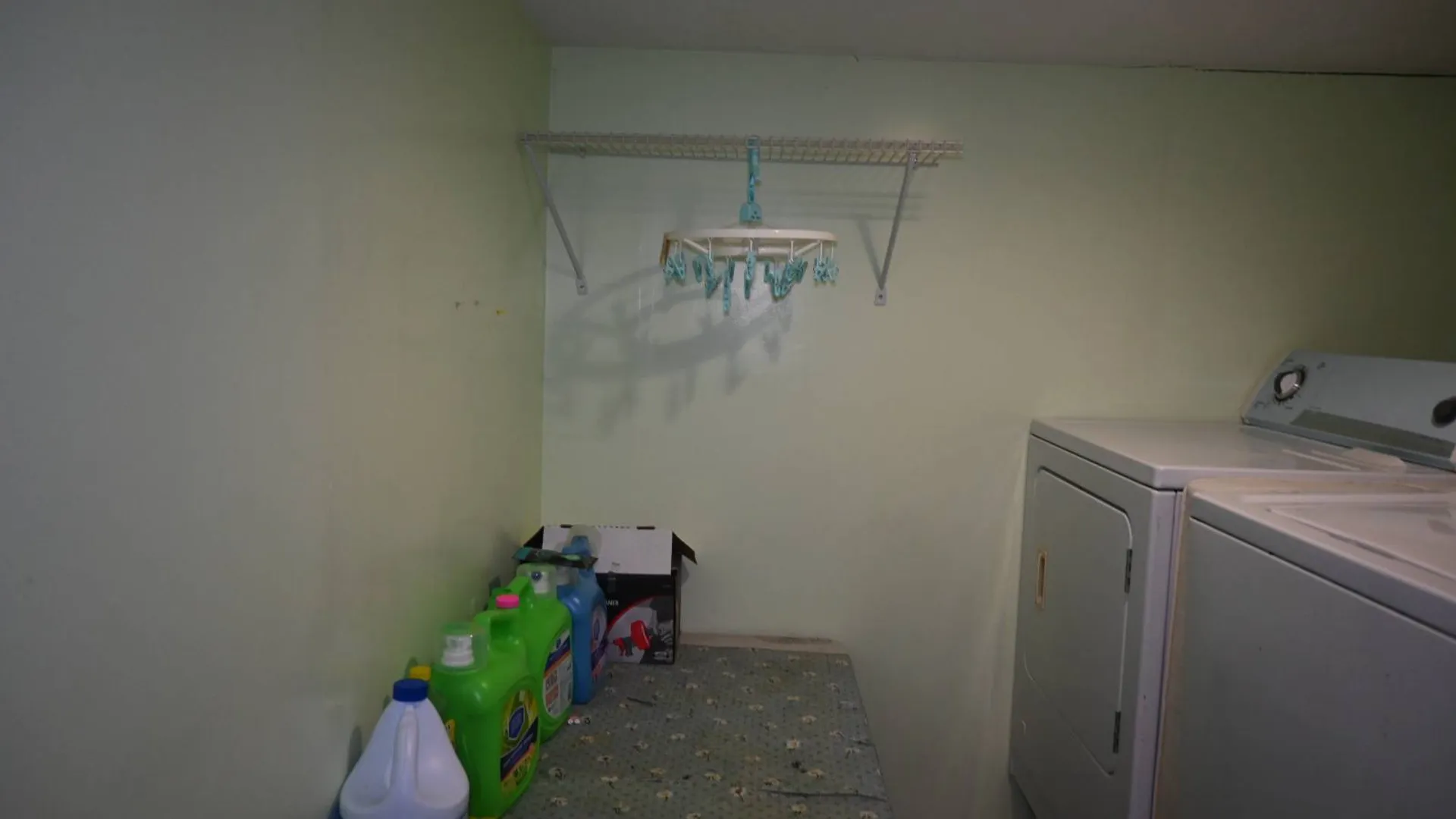 Property at 650 Williams Ave, Brooklyn, NY 11207 14