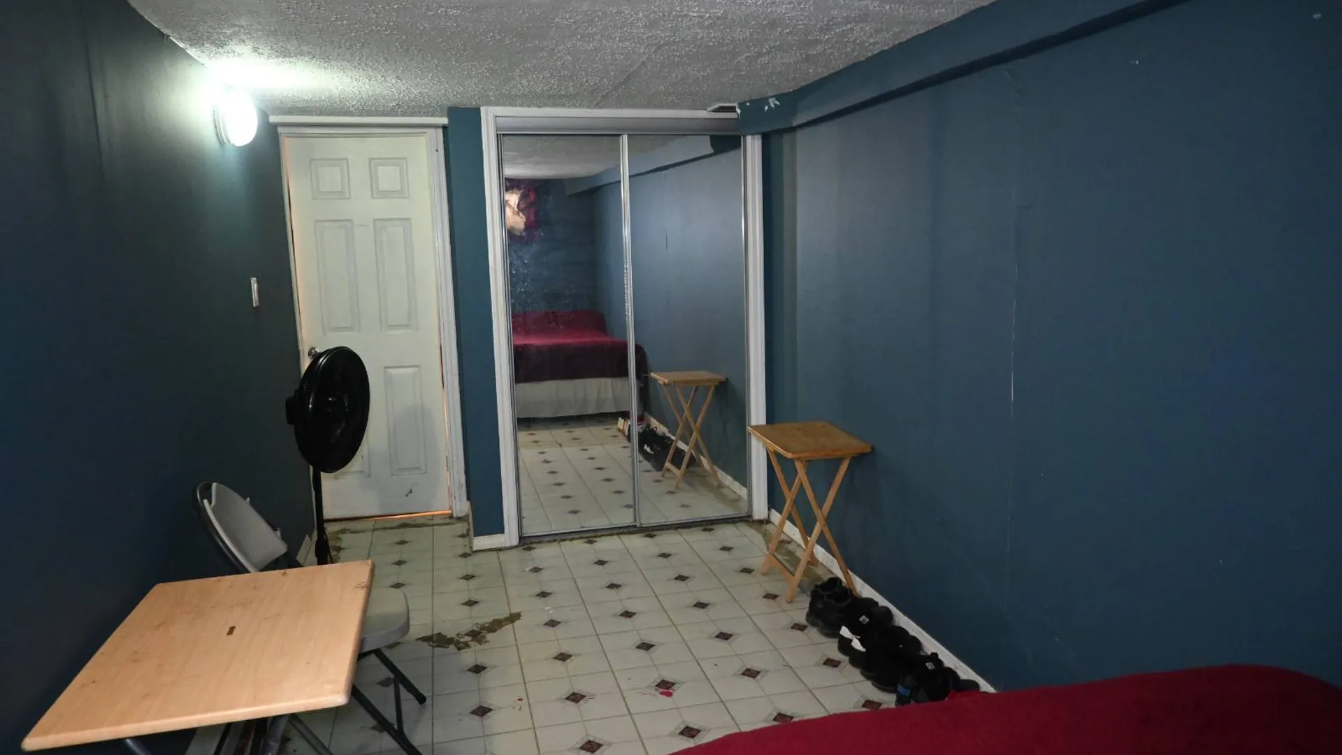 Property at 650 Williams Ave, Brooklyn, NY 11207 15