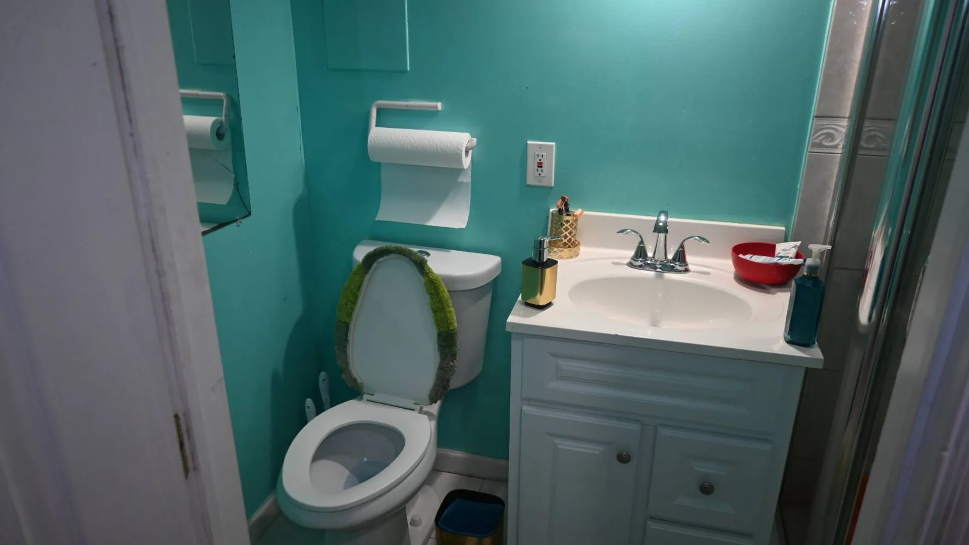 Property at 650 Williams Ave, Brooklyn, NY 11207 21