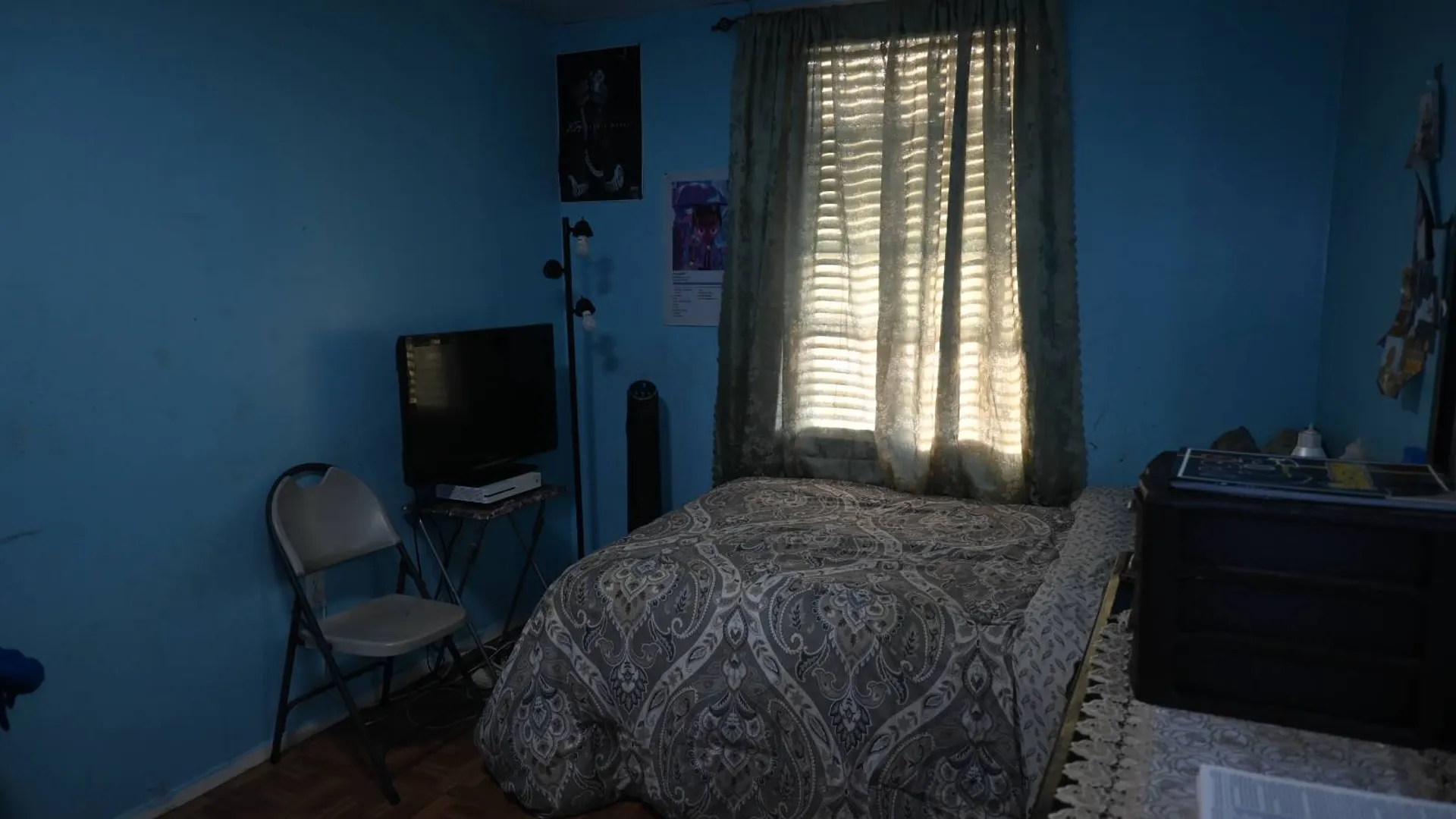 Property at 650 Williams Ave, Brooklyn, NY 11207 9