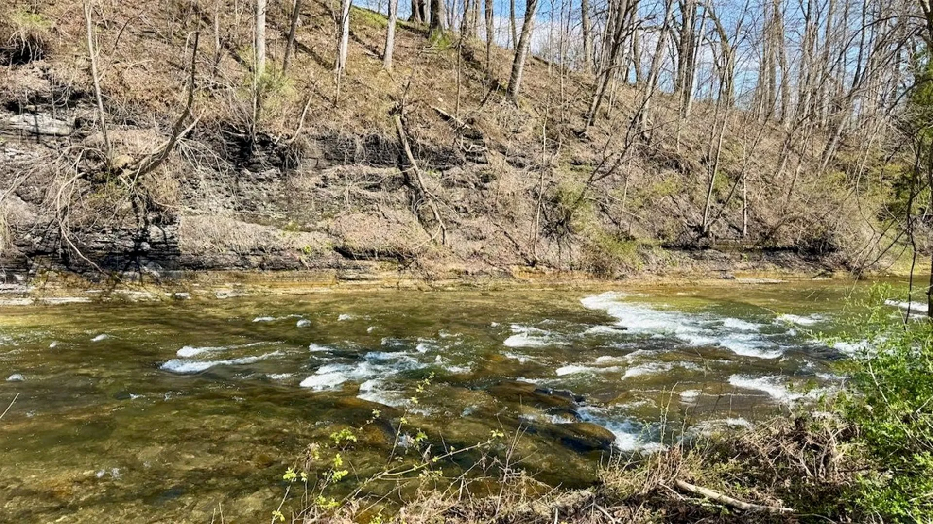 Property at 328 Indian Field Road, Genoa, NY 13071 5