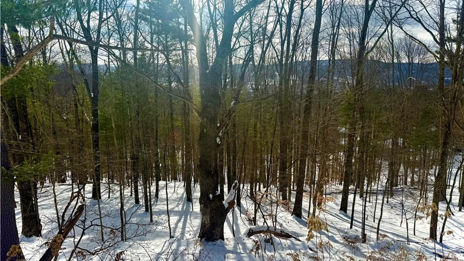 Property at 18 Carson Road, Oneonta, NY 13820 11