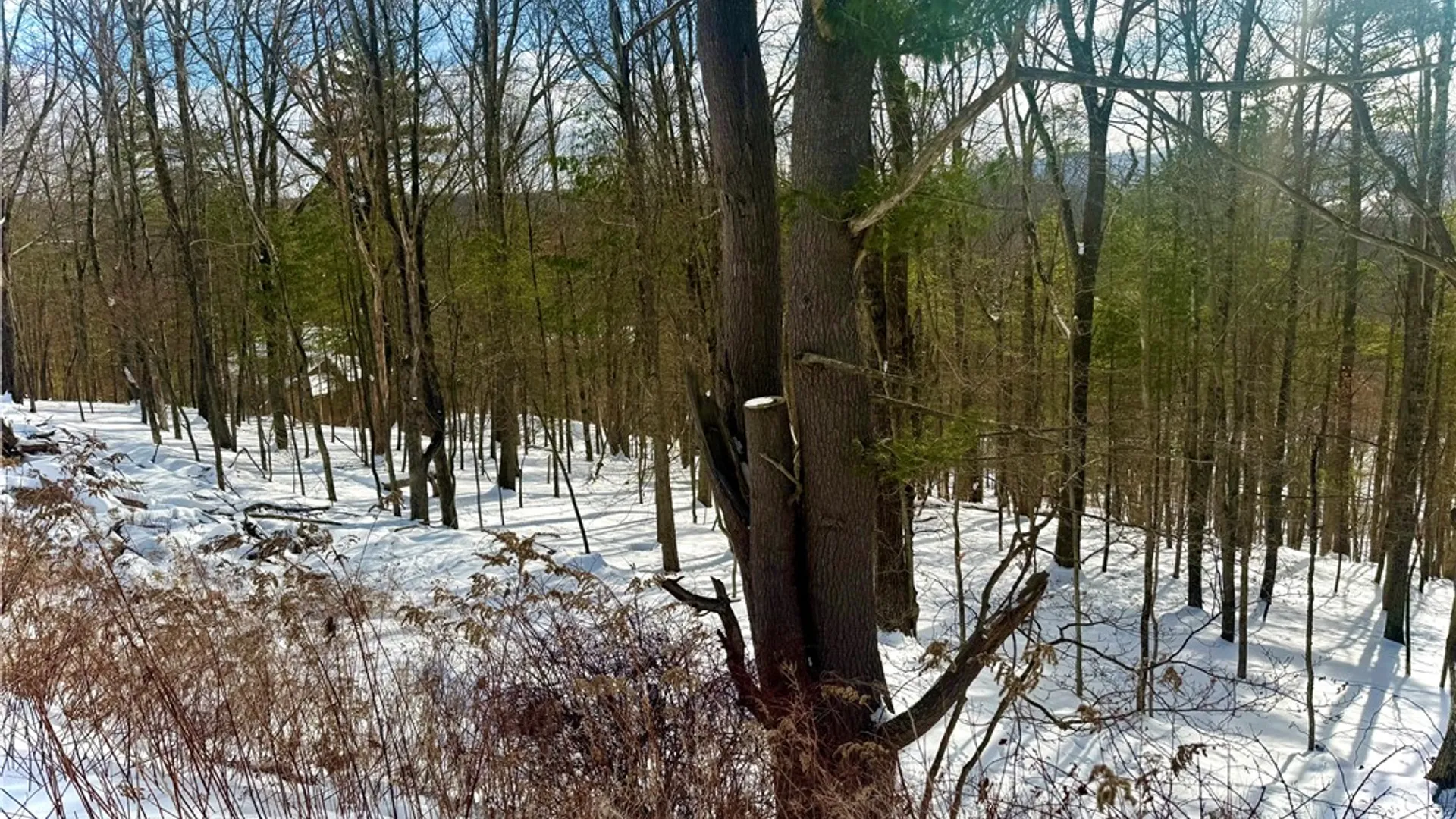 Property at 18 Carson Road, Oneonta, NY 13820 12