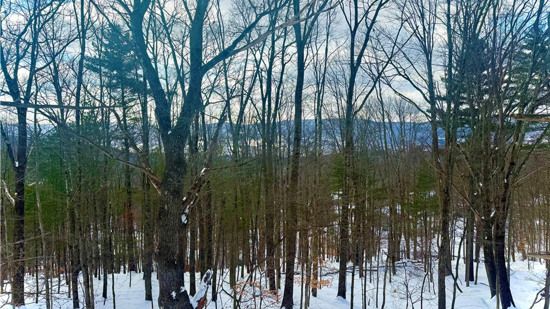 Property at 18 Carson Road, Oneonta, NY 13820 13