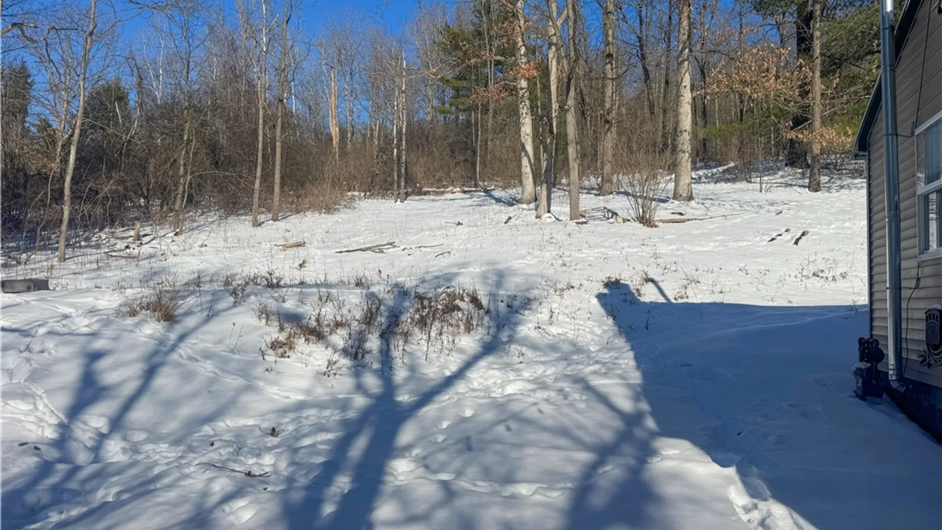 Property at 2591 Broadway, Ashland, NY 14894 18