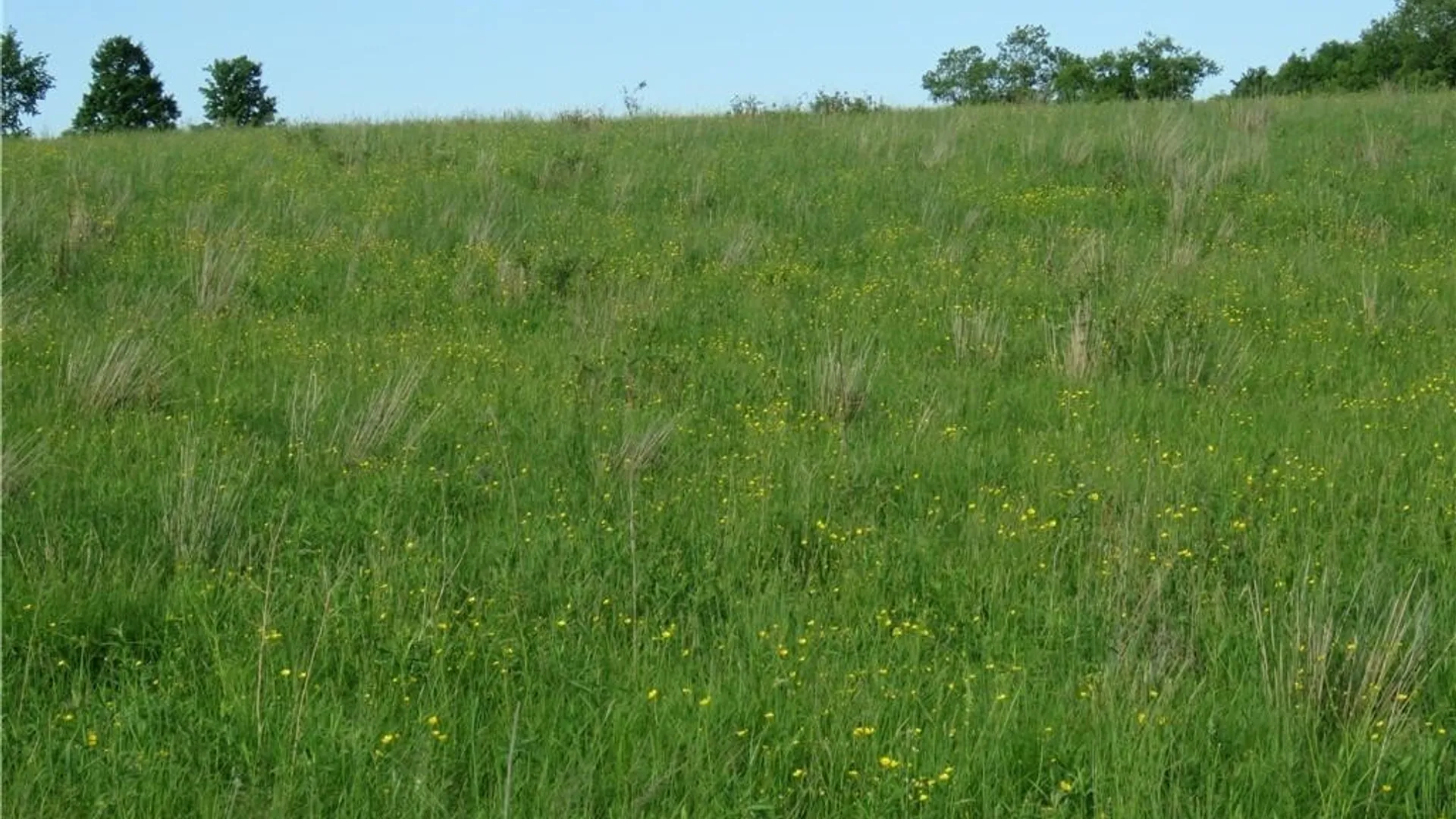 Property at 543 North Street, Arcade, NY 14009 11