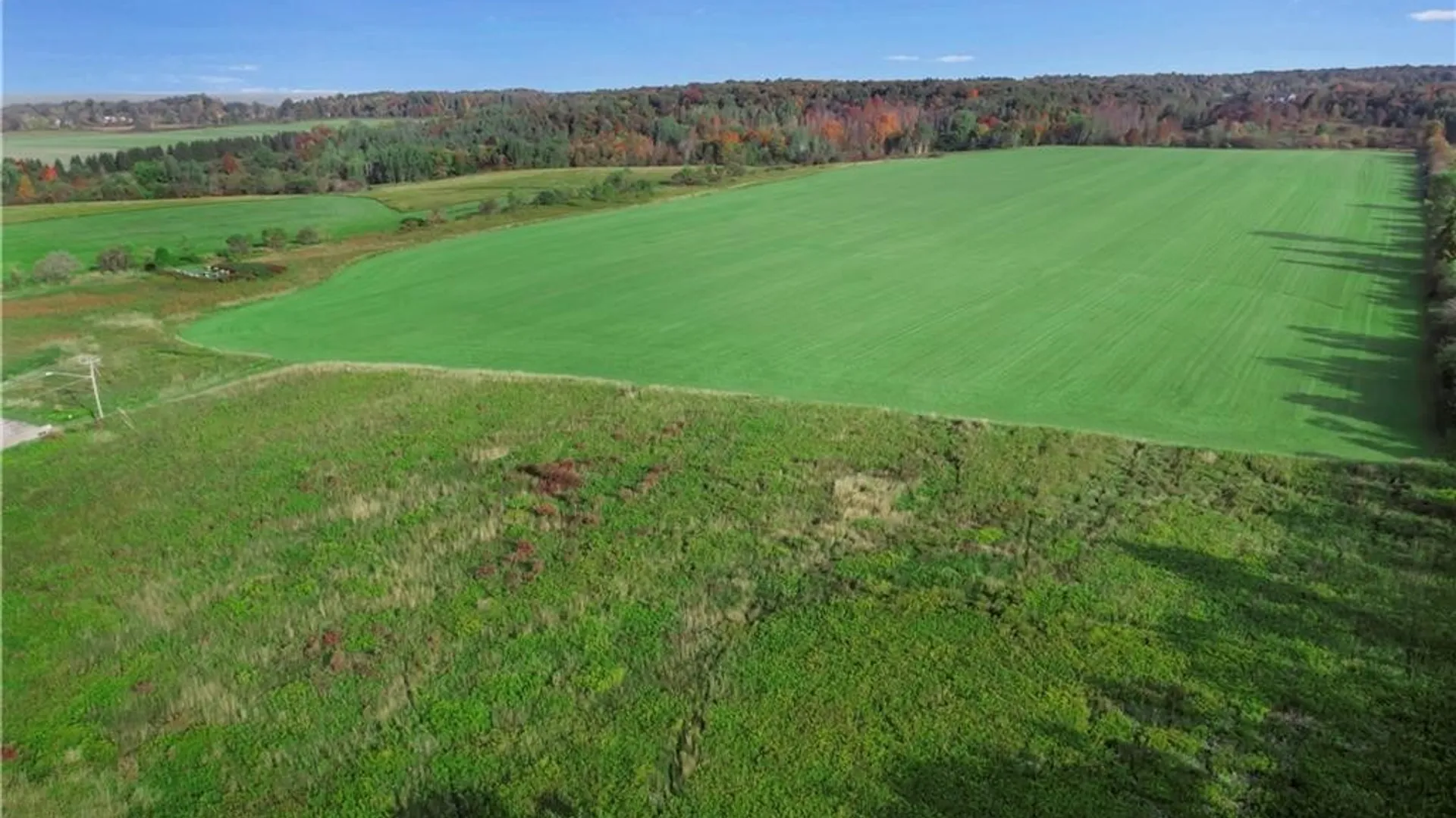 Property at 543 North Street, Arcade, NY 14009 12