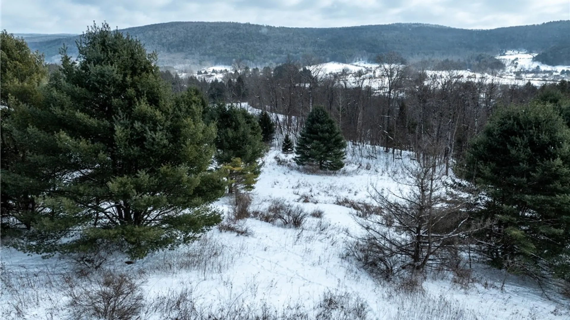 Property at 412 State Highway 166, Middlefield, NY 13326 29