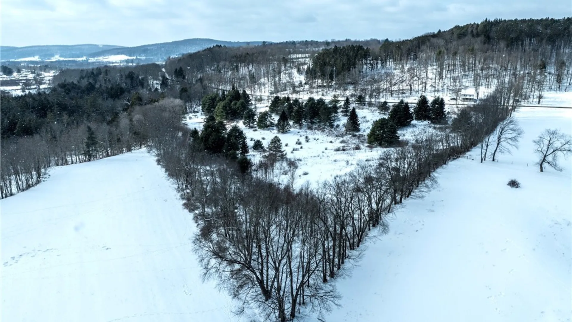 Property at 412 State Highway 166, Middlefield, NY 13326 31