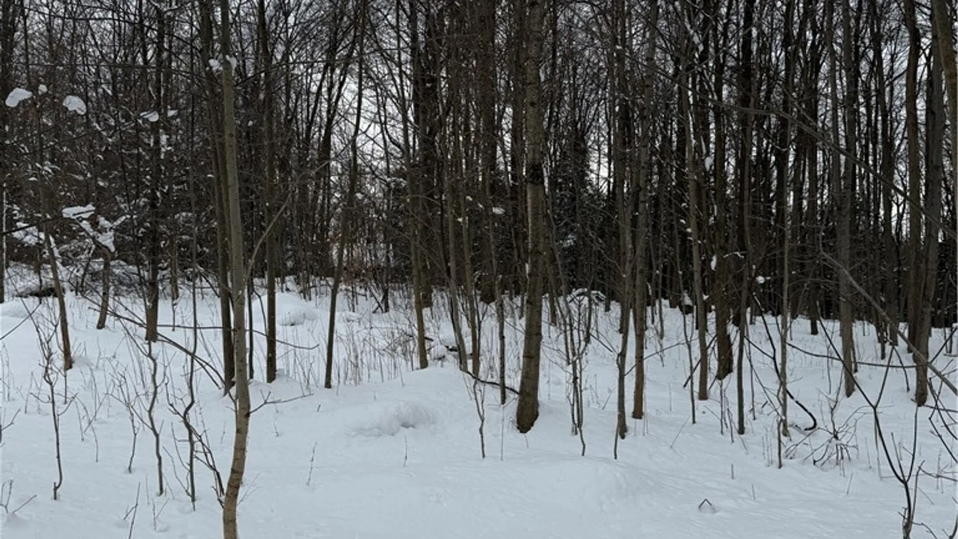 Property at V/L Syler Road, Orangeville, NY 14569 5