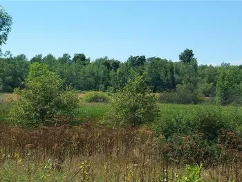Rt-37, Le Ray, NY 13637
