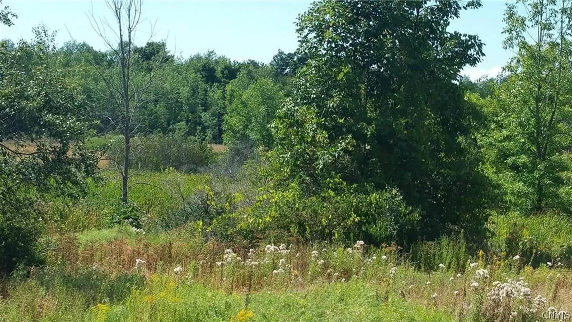 Property at Rt-37, Le Ray, NY 13637 2