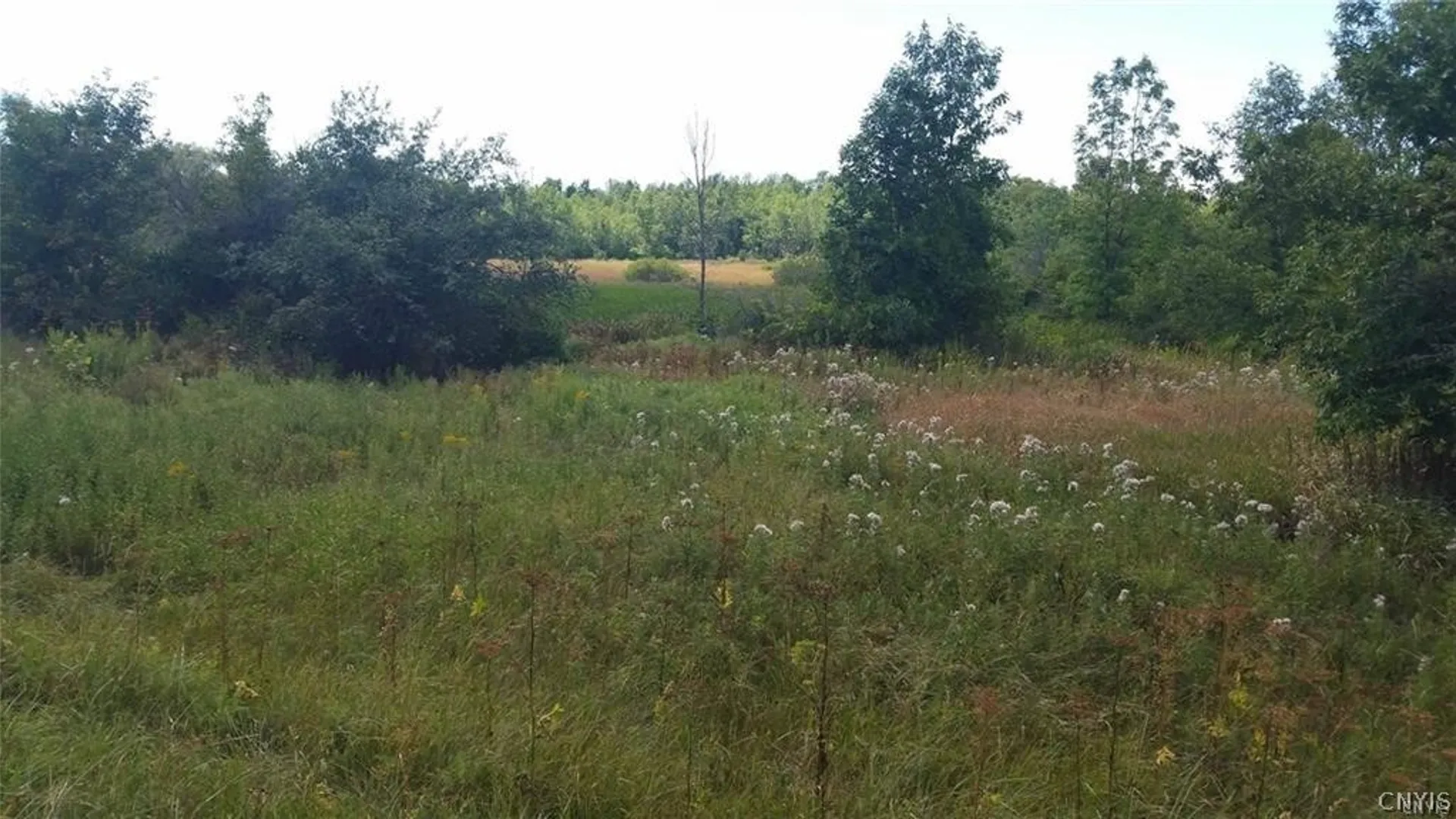 Property at Rt-37, Le Ray, NY 13637 3