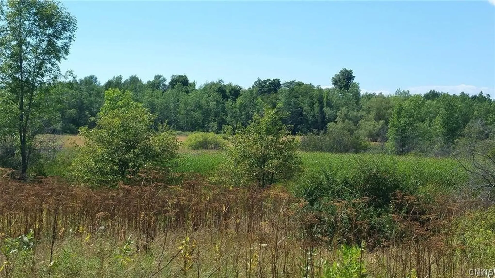 Property at Rt-37, Le Ray, NY 13637 4