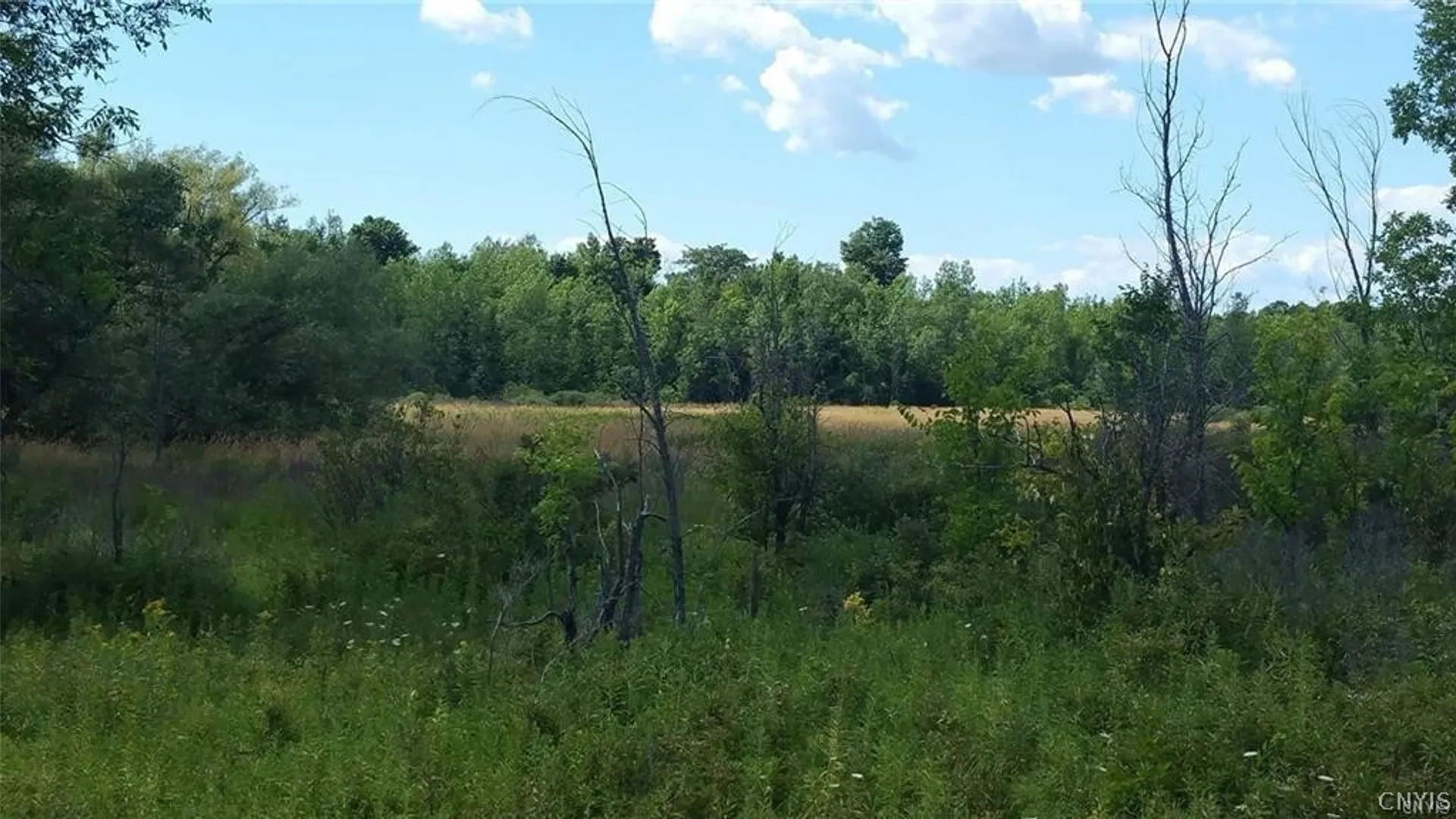 Property at Rt-37, Le Ray, NY 13637 5