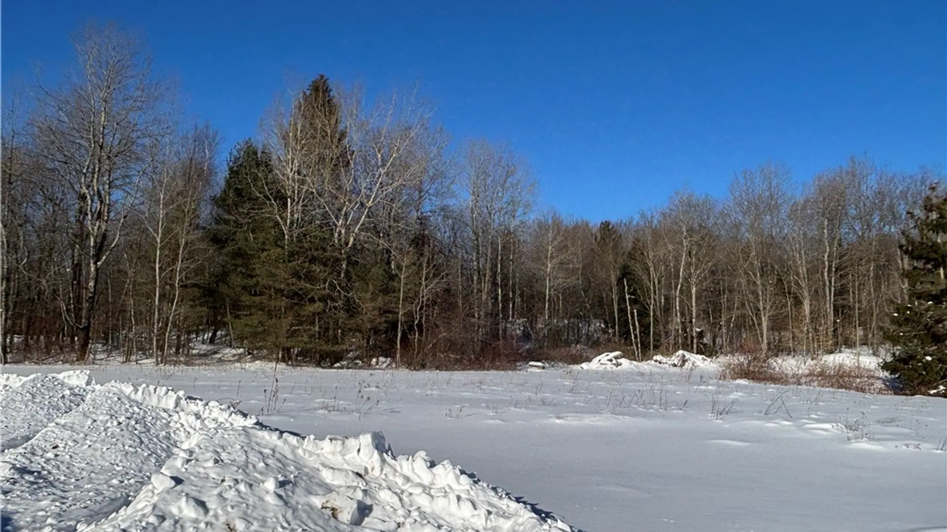 Property at 14063 Wilcox Road, Sergeant Twp, PA 16740 36